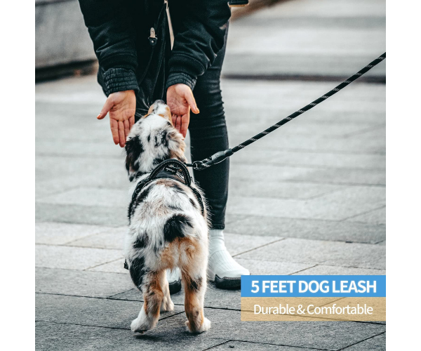 BAAPET 2/4/5/6 FT Strong Dog Leash with Comfortable Padded Handle and Highly Reflective Threads for Small Medium and Large Dogs - photo 2 - photo №1