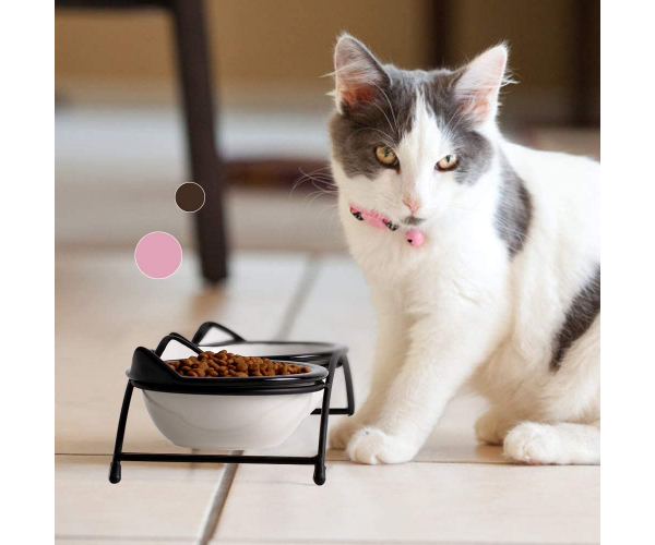 Y YHY Cat Food Bowls Set,Raised Cat Bowls for Food and Water,Ceramic Elevated Pet Dishes Bowls with Stand,12 oz Cats and Small Dogs Bowls,Dishwasher Safe - photo 2 - photo №1