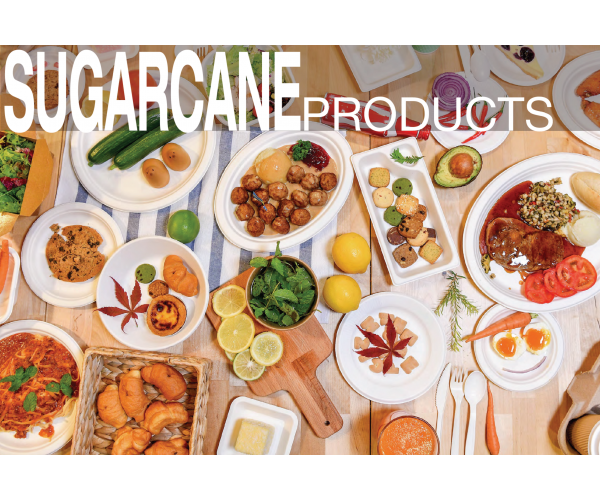 Customized sugarcane bagasse Eco friendly tablewares - photo 1 - photo №1