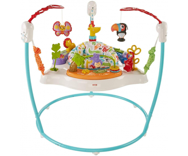 Fisher-Price Animal Activity Jumperoo, Blue, One Size - photo Nr. 1